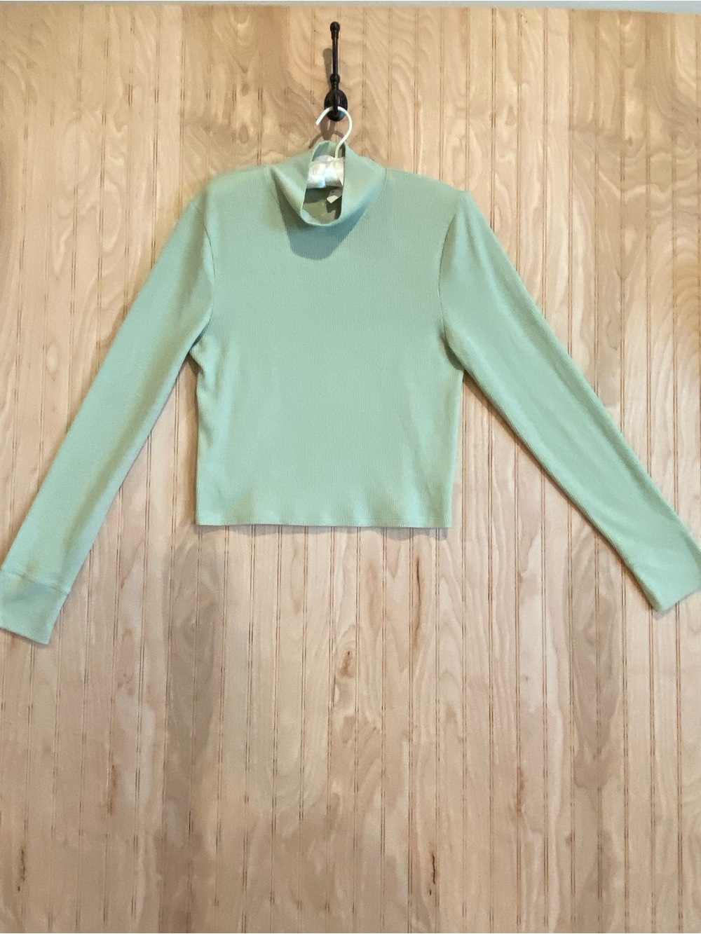 American Eagle Outfitters Mint Green Long Sleeve Crop Mock Neck Top
